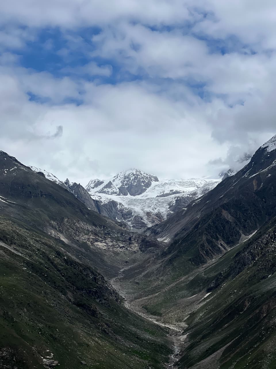 Snow-capped mountain view through pine trees in Tosh, Himachal Pradesh